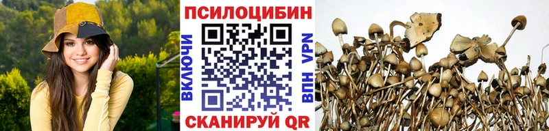 Псилоцибиновые грибы GOLDEN TEACHER  Люберцы 